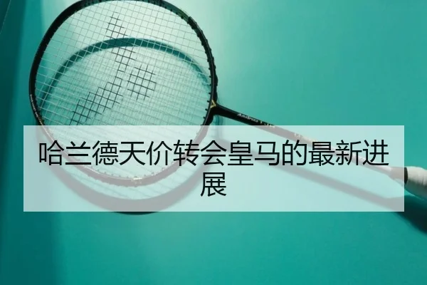 哈兰德天价转会皇马的最新进展
